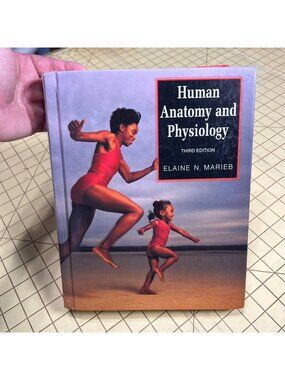 Human Anatomy And Physiology Third Edition By Elaine N. Marieb Hardcover Academi